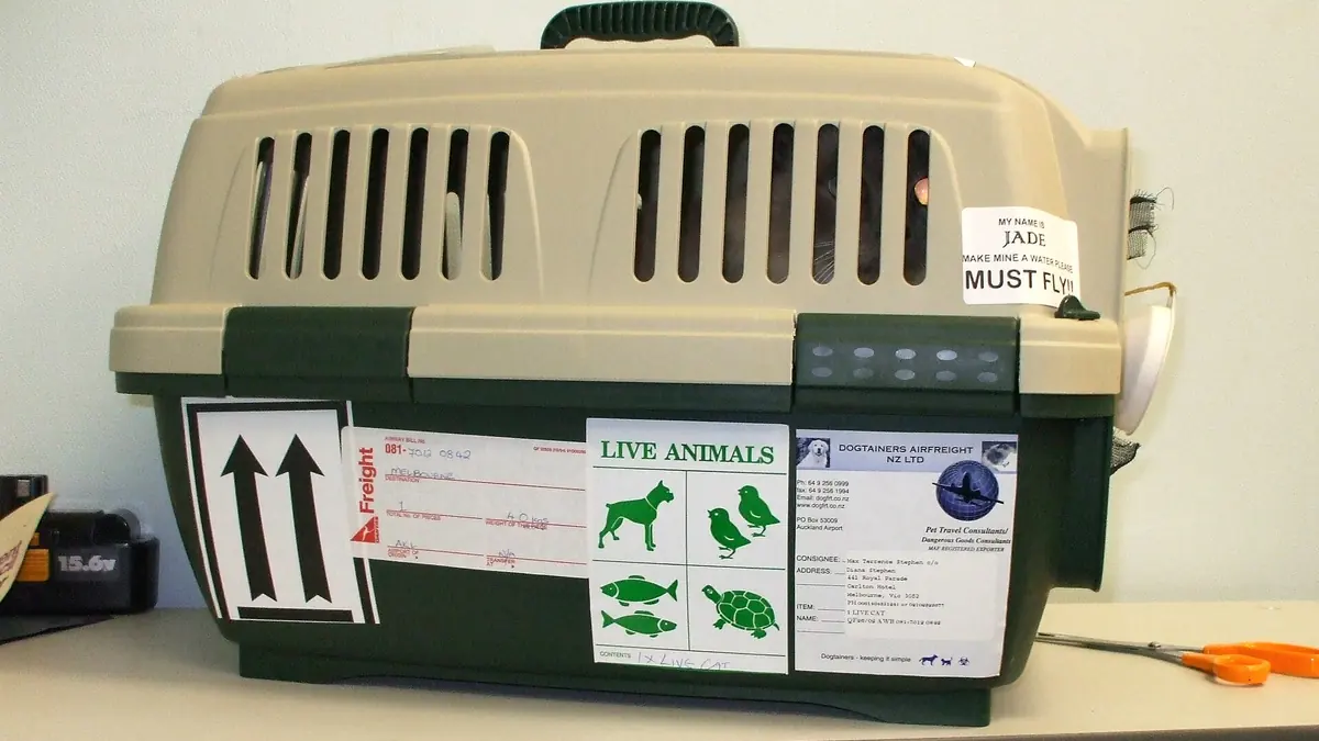 Une caisse de transport pour animal, étiquetée pour un vol international